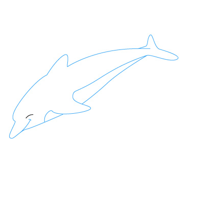 How to Draw a Dolphin | Fun Drawing Lessons for Kids  Adults