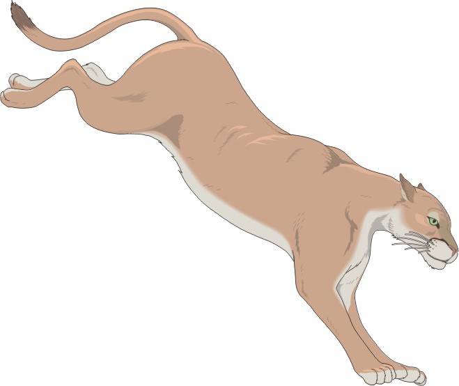 Free Cartoon Cougar, Download Free Cartoon Cougar png images, Free ClipArts  on Clipart Library