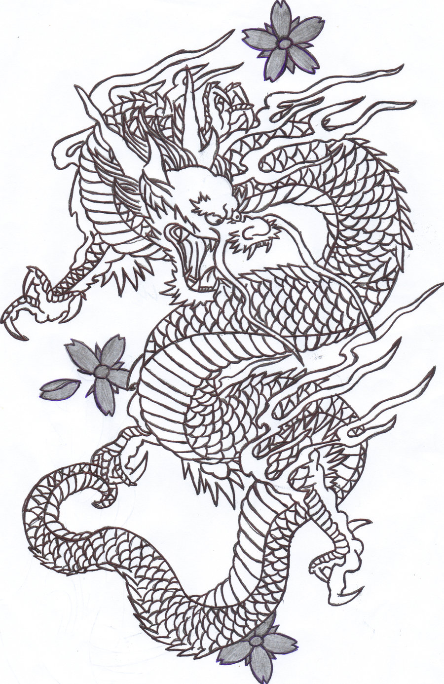 Chinese Dragons Drawings - Gallery
