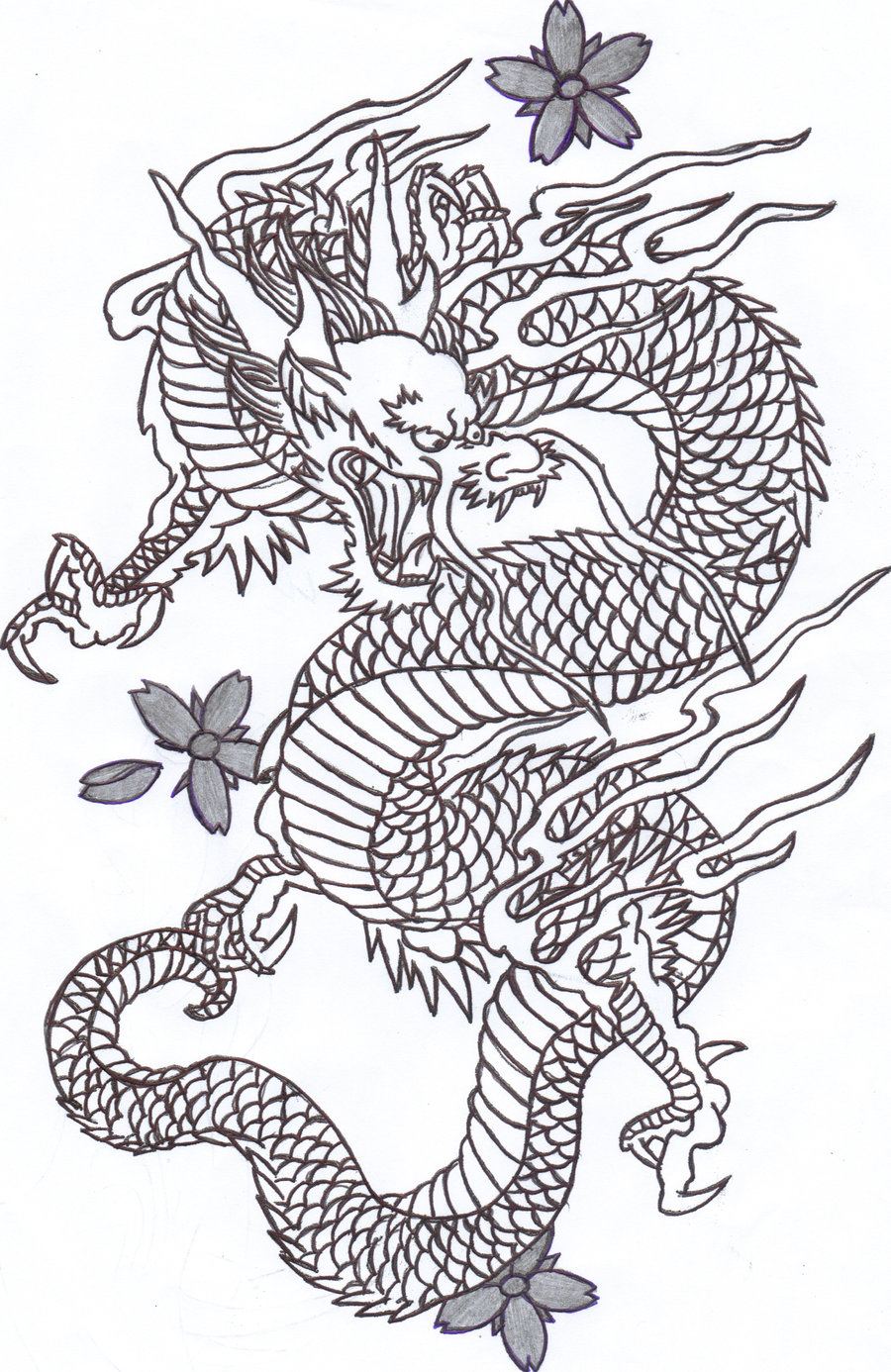 chinese dragon outline drawing