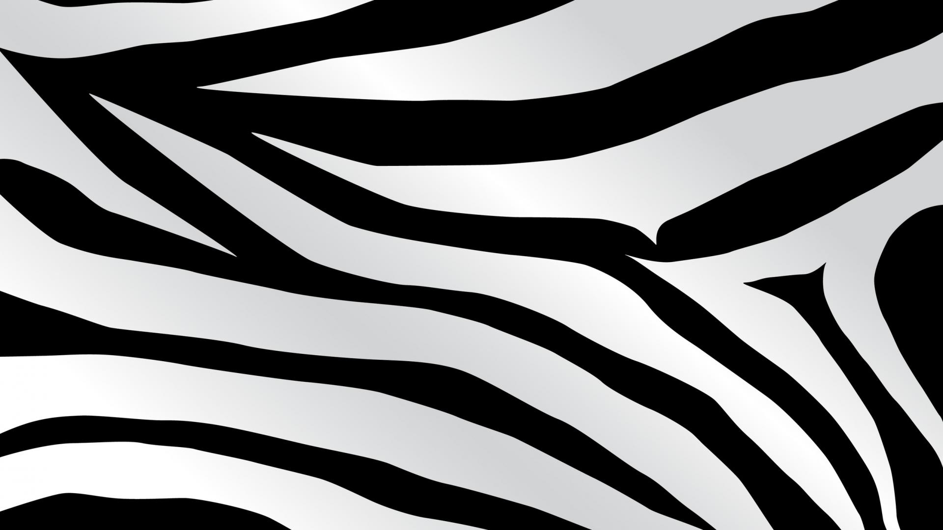 clip art zebra print - photo #19