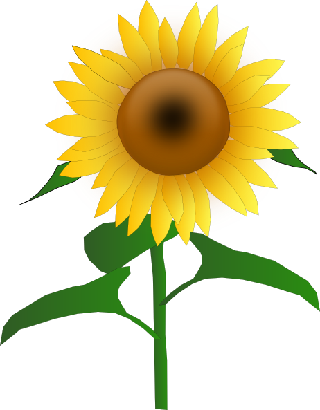 Sunflowers Cartoon - Clipart library