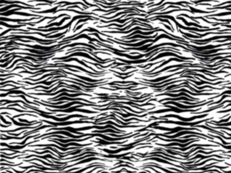 Cool Zebra Print Wallpaper 1080p Wallpaper | New Trend And Fresh 