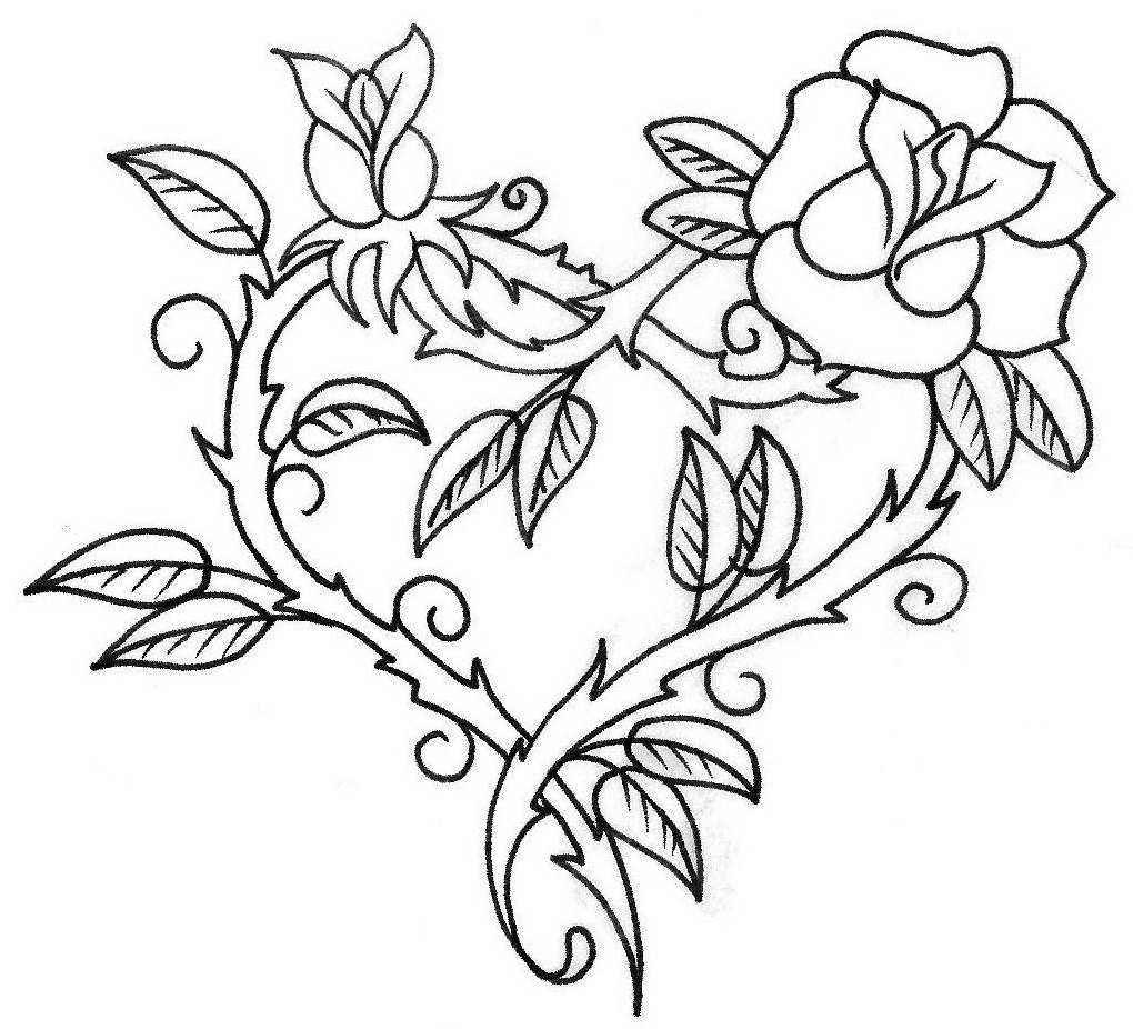 Free Rose Flower Drawing, Download Free Rose Flower Drawing png images