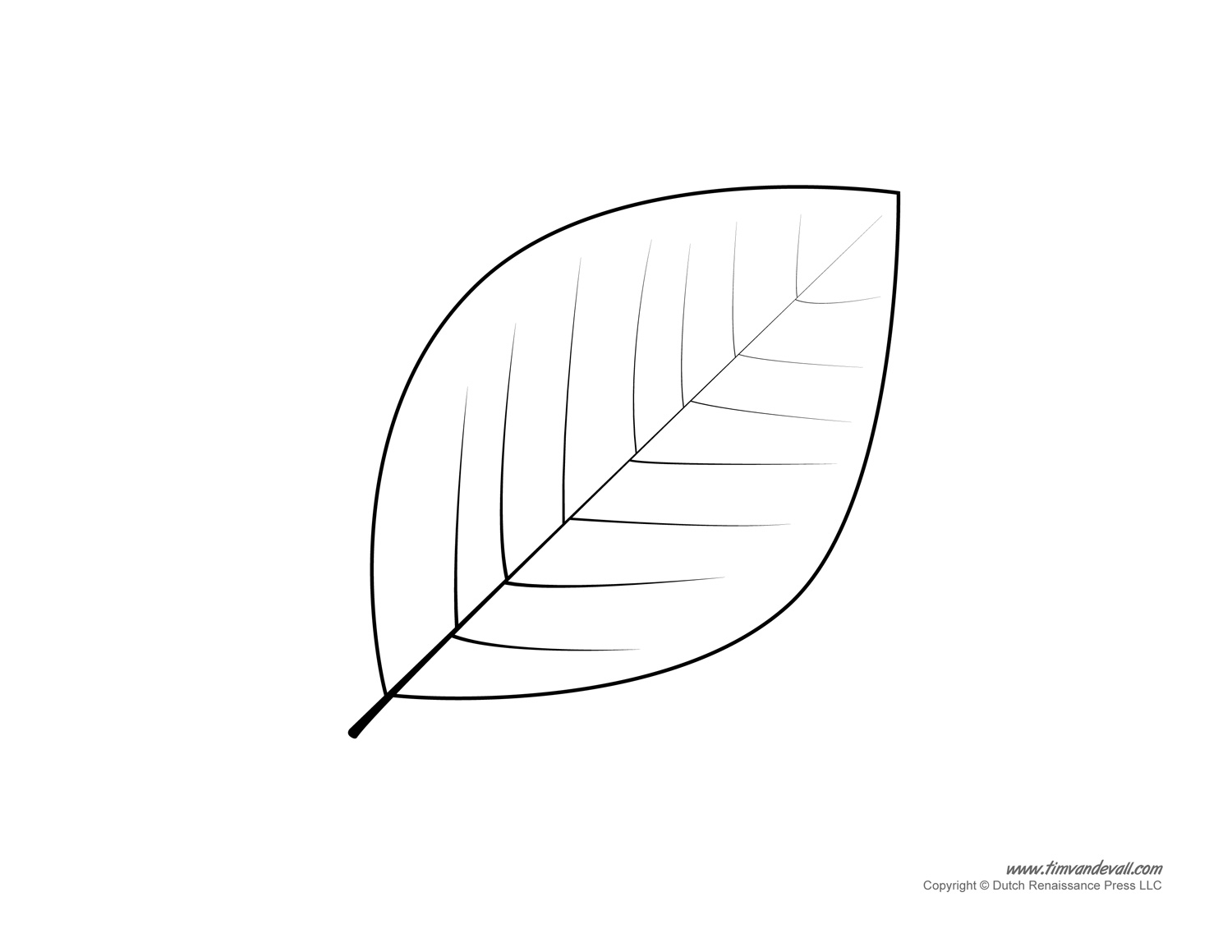 Free Leaf Template Download Free Leaf Template Png Images Free 