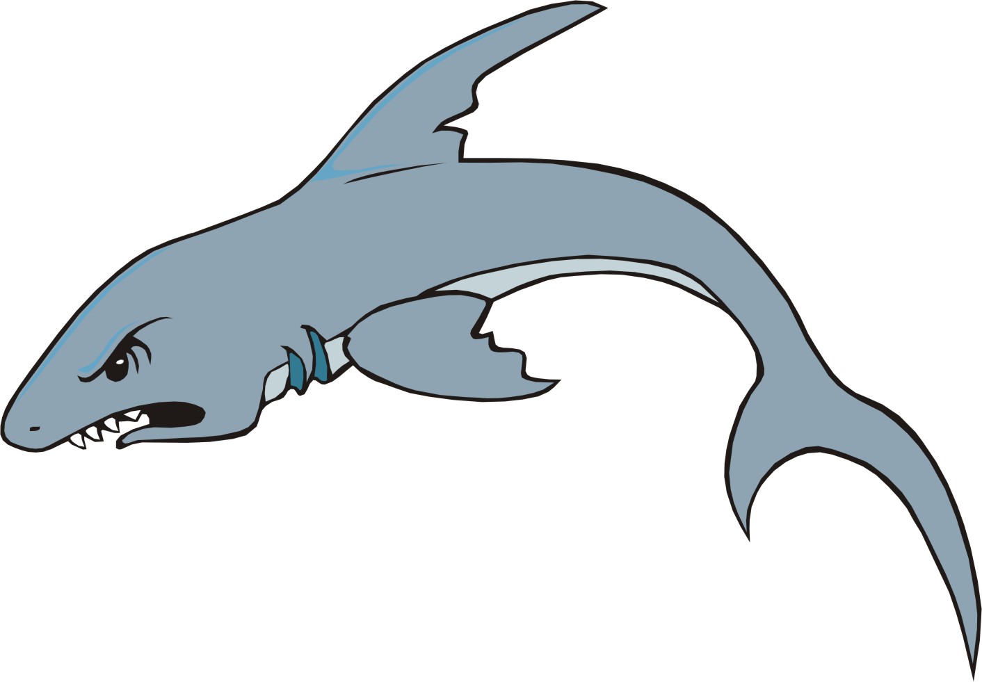 Sharks Cartoon Pictures images