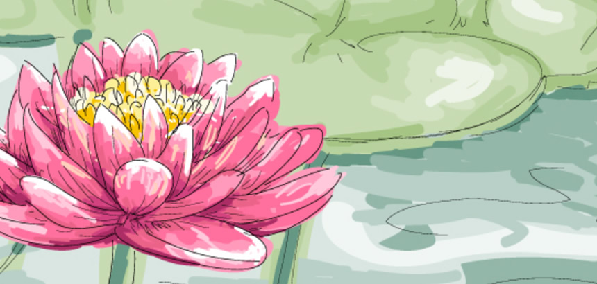 Free Lotus Drawing, Download Free Lotus Drawing png images, Free