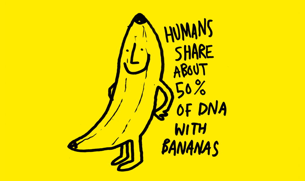 dontaskme: Being a Banana