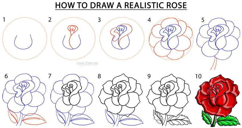 how-to-draw-a-rose-b