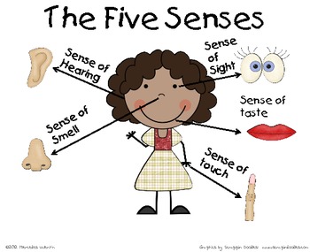 The-Five-Senses-Poster-333896 Teaching Resources 