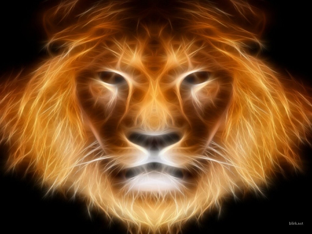 lions wallpaper free download