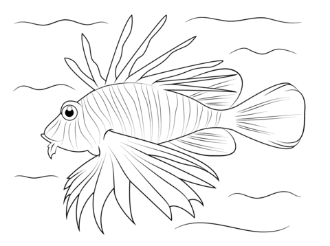 Lionfish Coloring page | Free Printable Coloring Pages