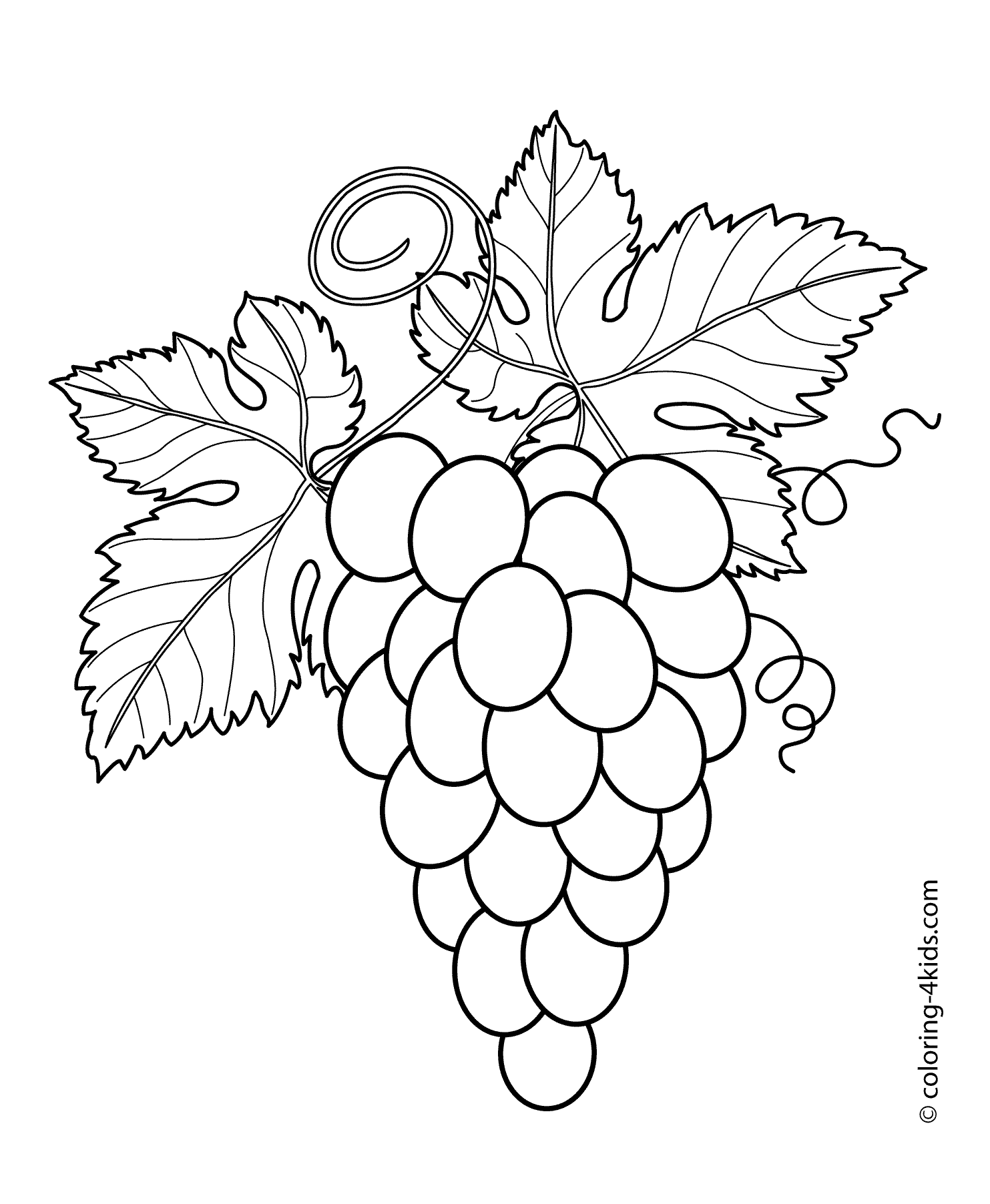 Grapes with leaves fruits and berries coloring pages for kids