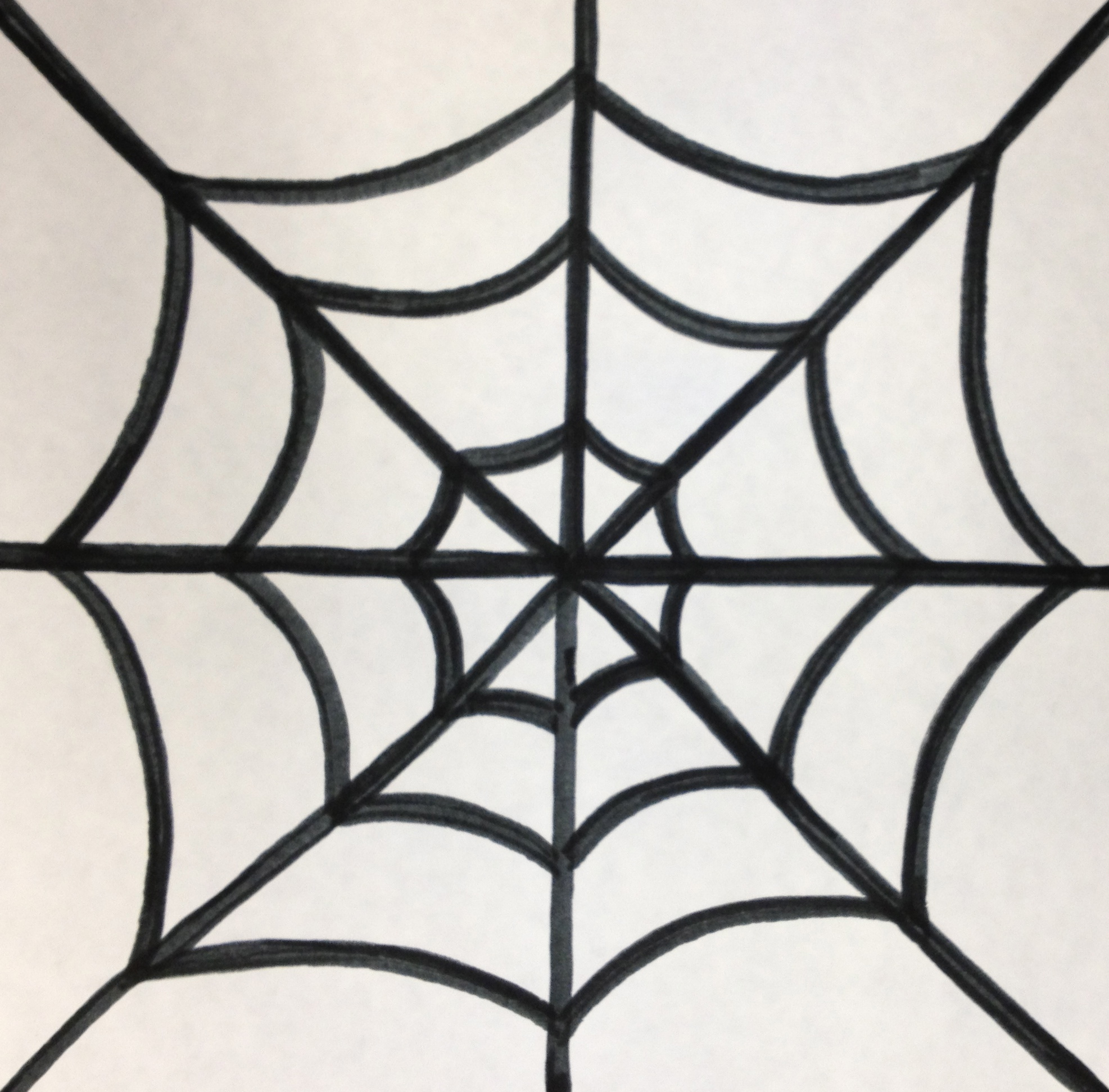 Spider Web