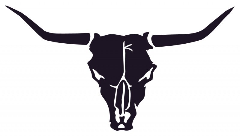 COW BULL SKULL 0372 Self adhesive vinyl Sticker Decal | Signs by Post
