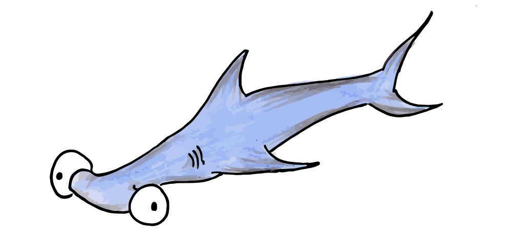 hammerhead shark | bluebison.