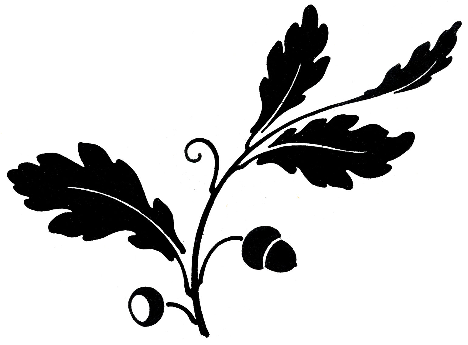 Antique Clip Art - Oak Leaf  Acorns - Silhouette - The Graphics Fairy