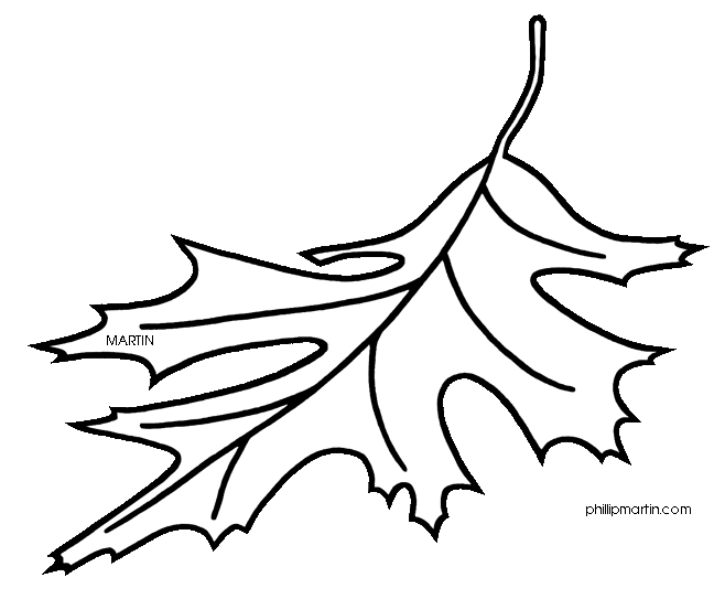 Oak Leaf Clipart | Clipart library - Free Clipart Images
