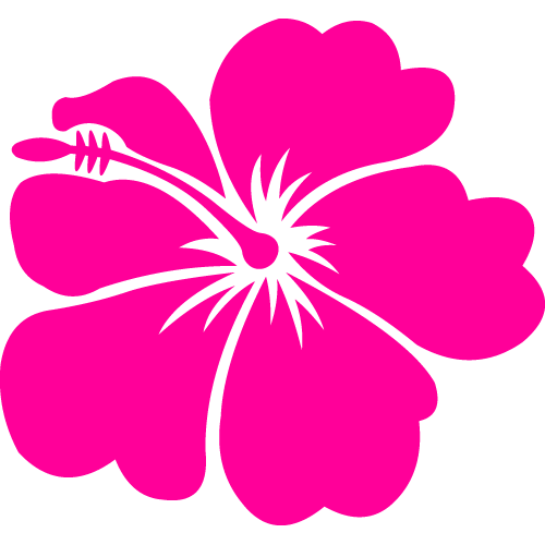 Pix For  Cartoon Hawaiian Flower Border