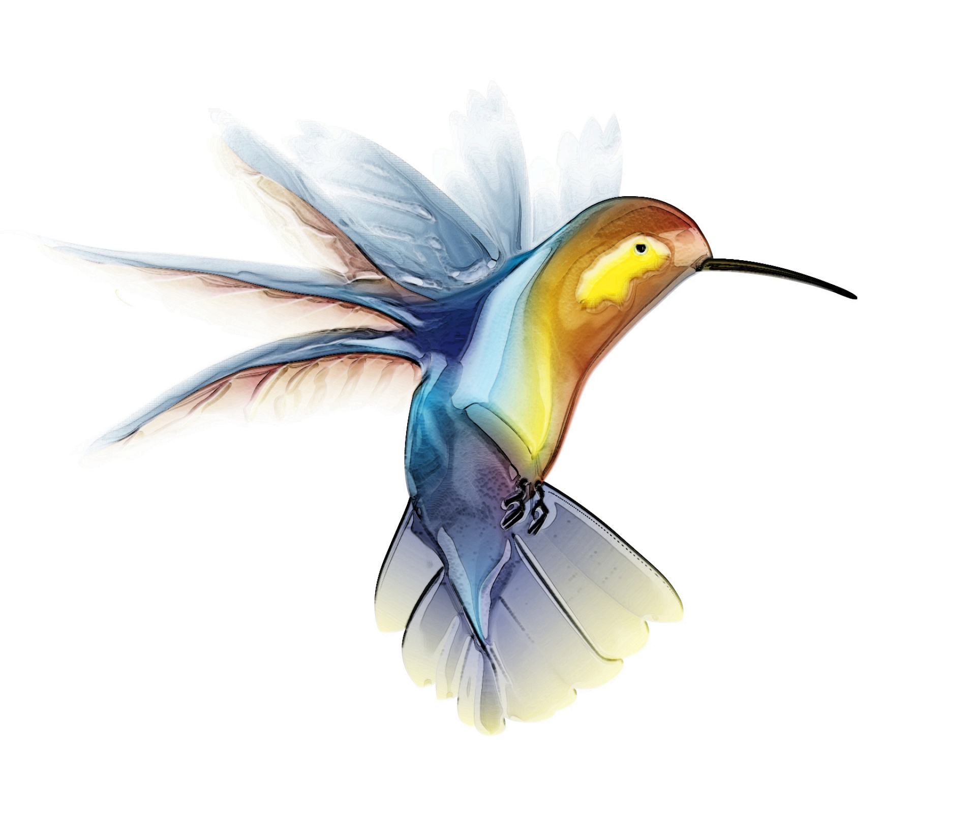 Hummingbird image vector clip art online royalty free public