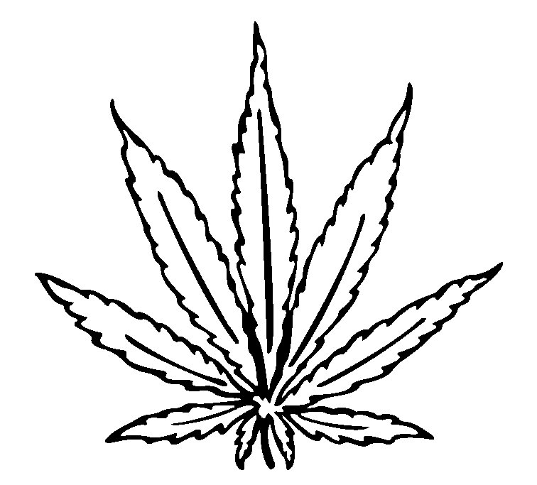 Cannabis Leaf Drawing I image - vector clip art online, royalty 