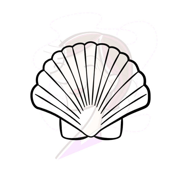 Digital Seashell Stamps Decor Starfish Summer Beach Clip Art Clipart �