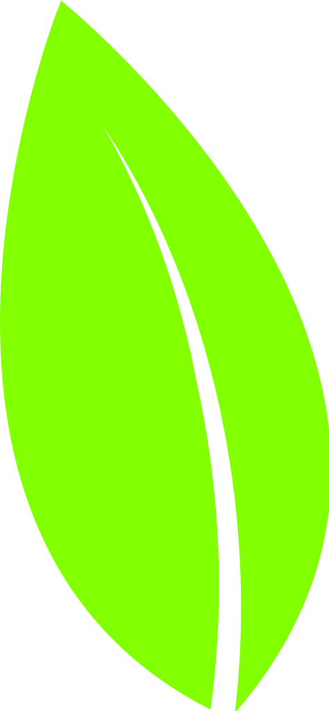 File:Leaf icon 06 - Wikimedia Commons