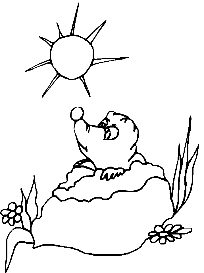Groundhog Coloring Picture | Ace Images