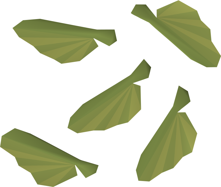 Maple seed - The RuneScape Wiki