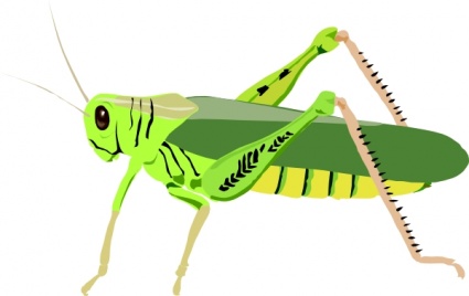 Grasshopper Locust clip art - Download free Cartoon vectors