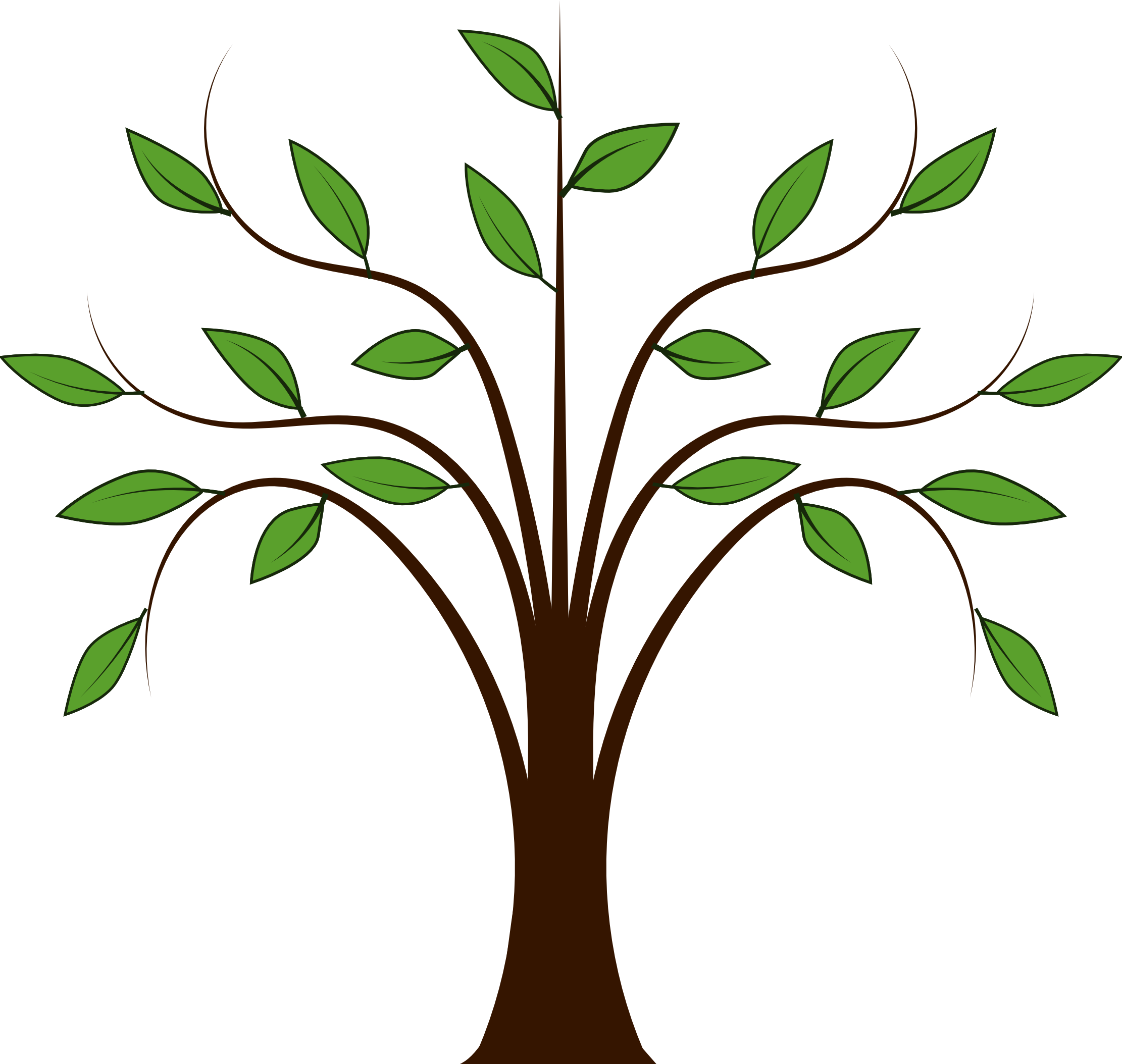 png clipart tree - photo #42