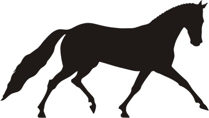 Dressage Horse Silhouette Decal 7 x 4