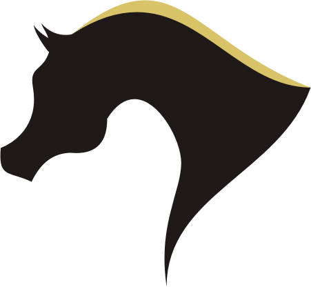 arabian horse head tattoo