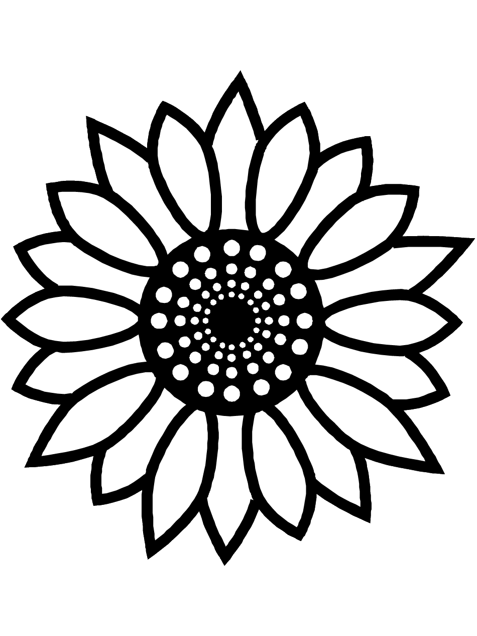 outline-of-a-sunflower-clip-art-library