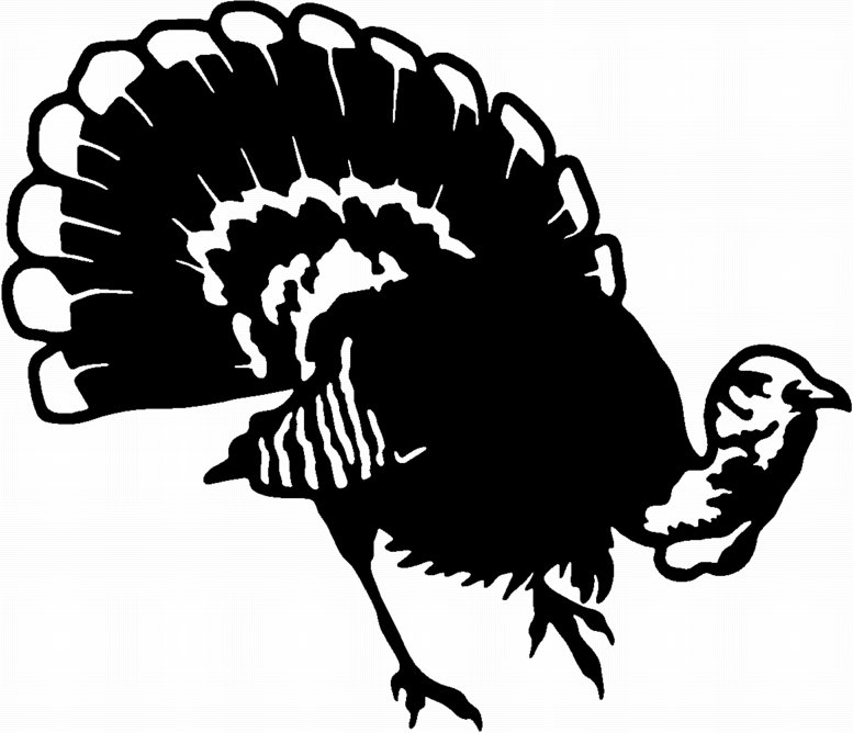 Free Turkey Line Art, Download Free Turkey Line Art png images, Free