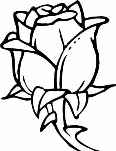 How To Draw A Simple Flower - Clipart library