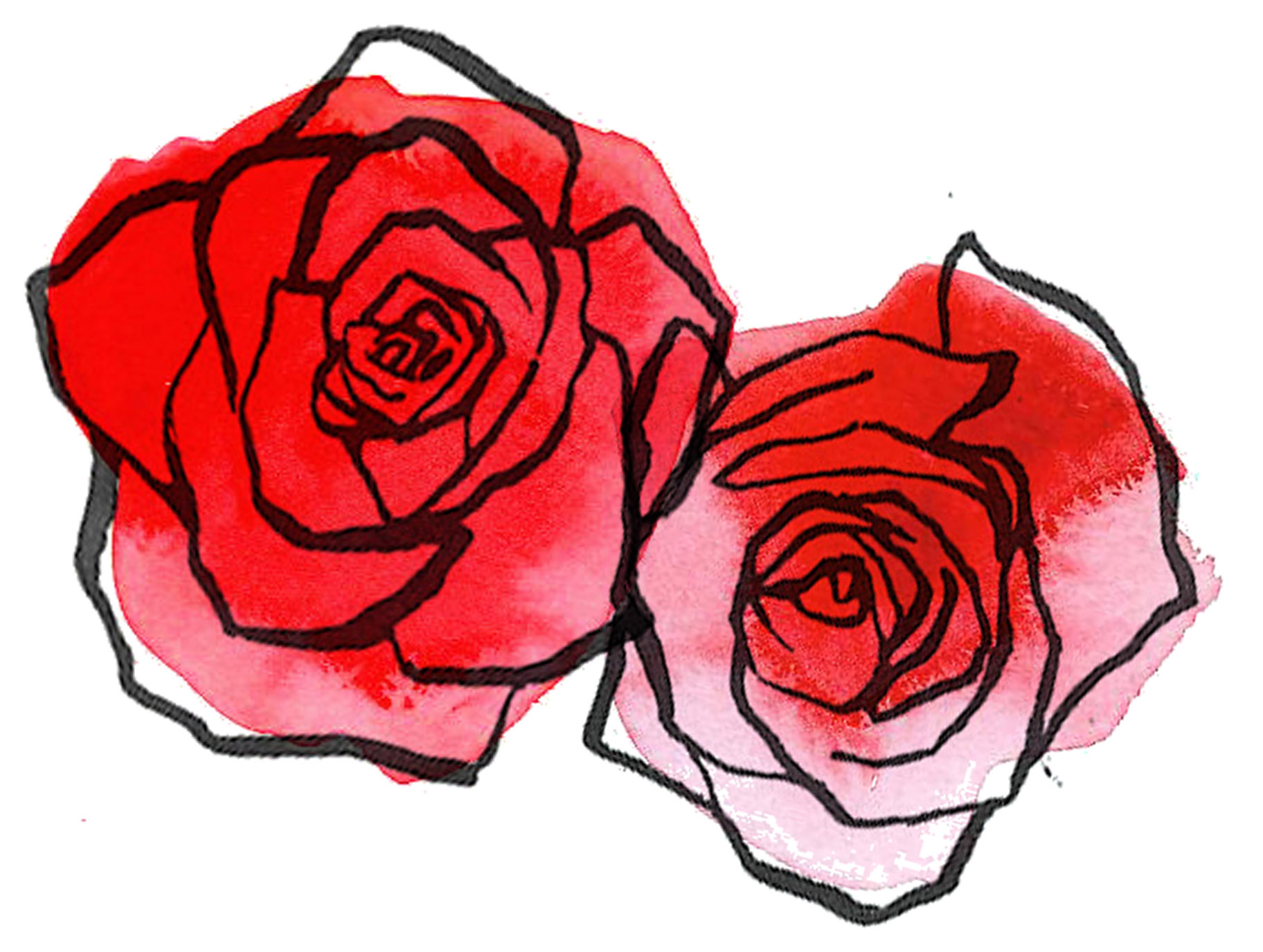 Free Rose Drawing, Download Free Rose Drawing png images, Free ClipArts