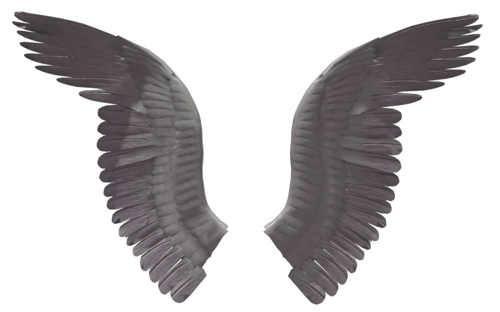 Angel wing (6) by wolverine041269 on Clipart library