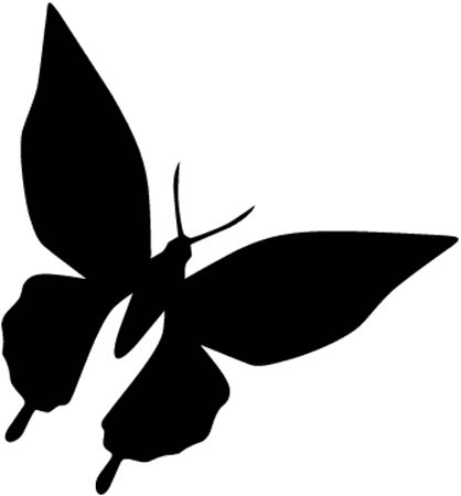 Butterfly Silhouette - Custom Wall Graphics