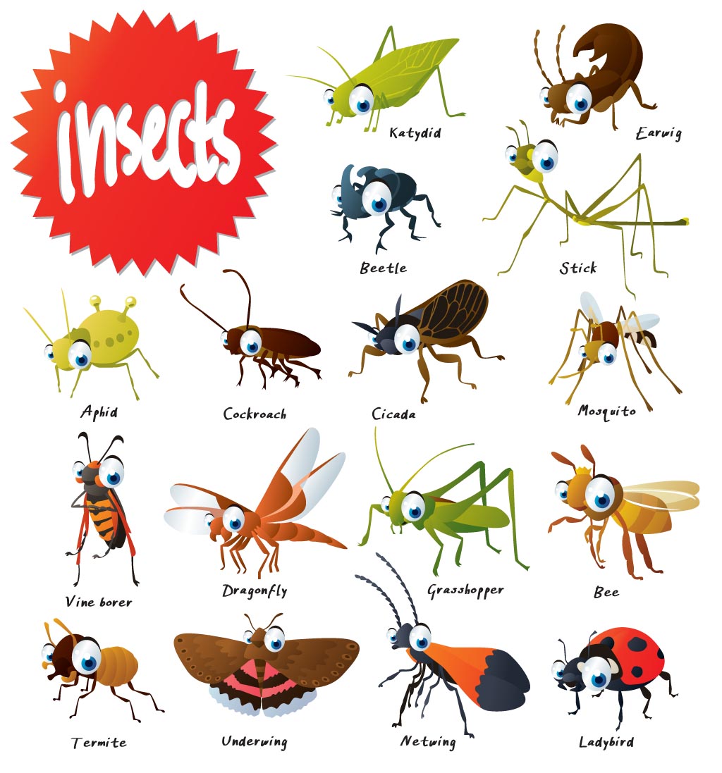 Insects With Names