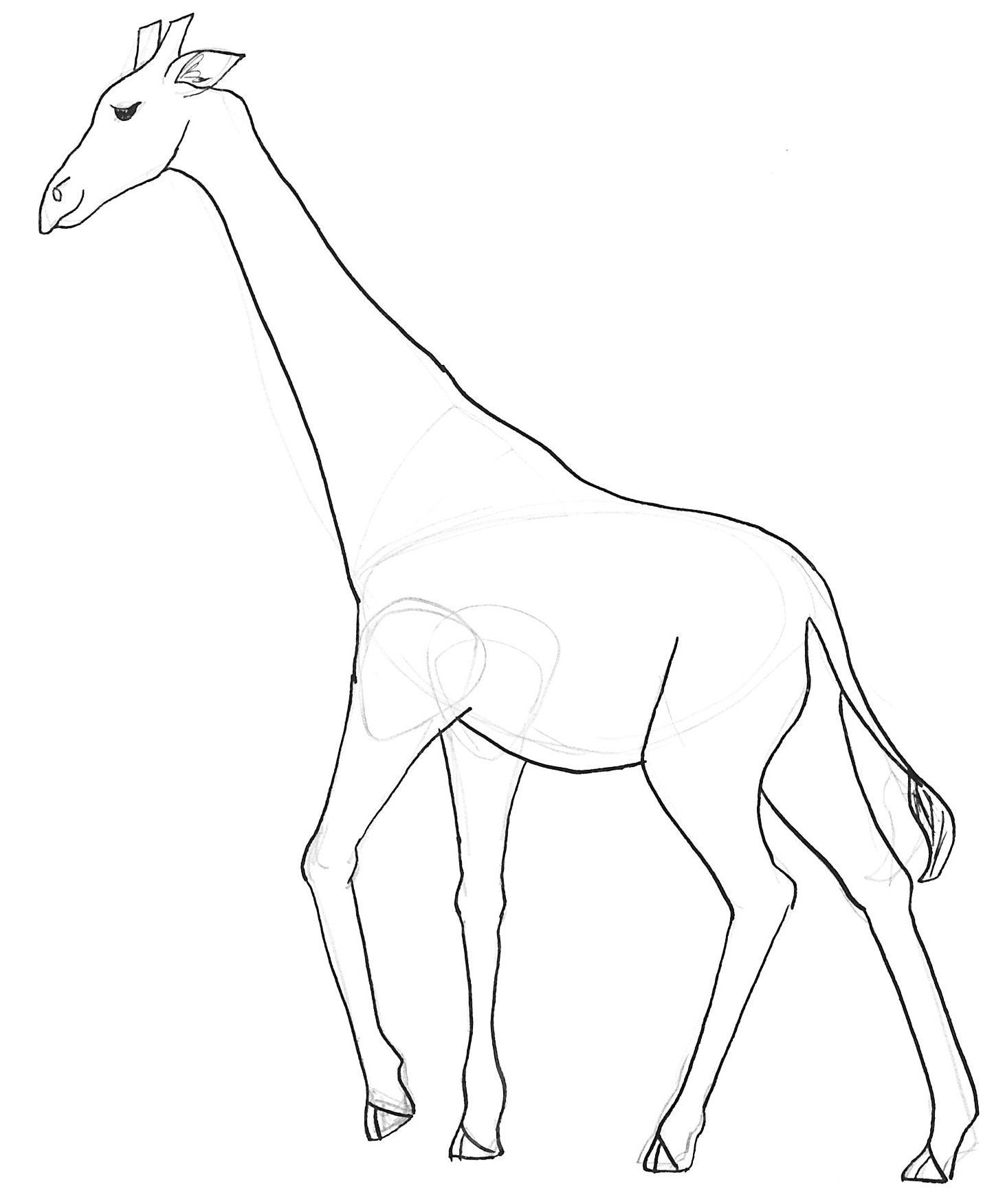 Free Giraffe Line Drawing, Download Free Giraffe Line Drawing png