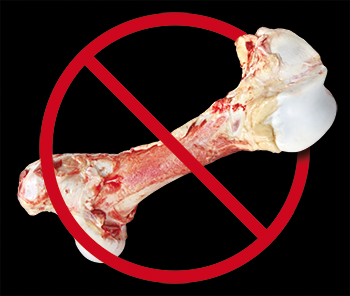 Consumer Updates  No Bones About It: Reasons Not to Give Your Dog 