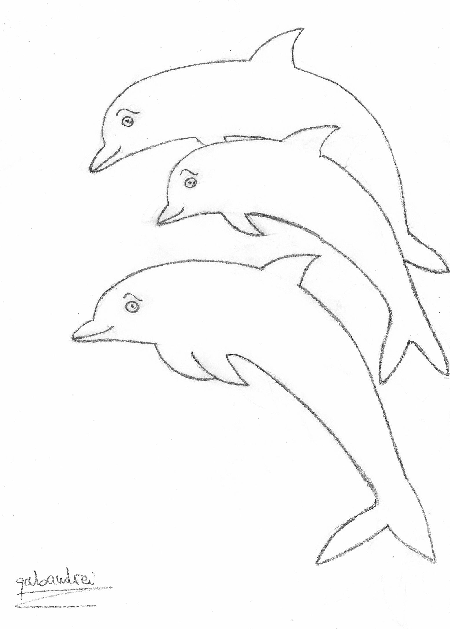 A Group of Dolphin Friends - Dolphinspedia