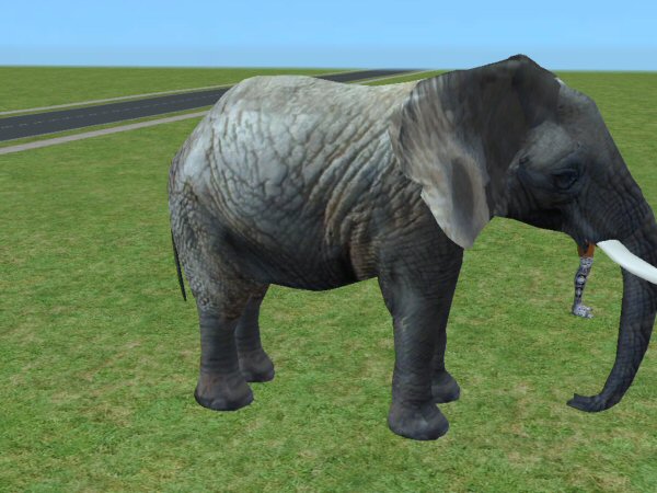 Mod The Sims - Animated Elephants - Rideable and Statue Versions 