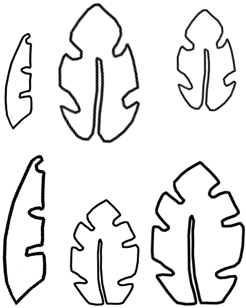 Flower Leaf Template - Clipart library