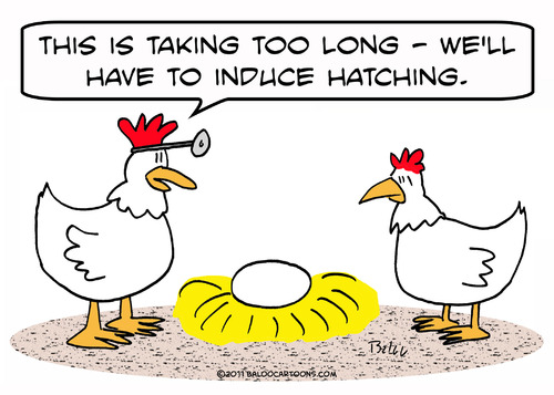 Chicken Hatching Eggs Cartoon images
