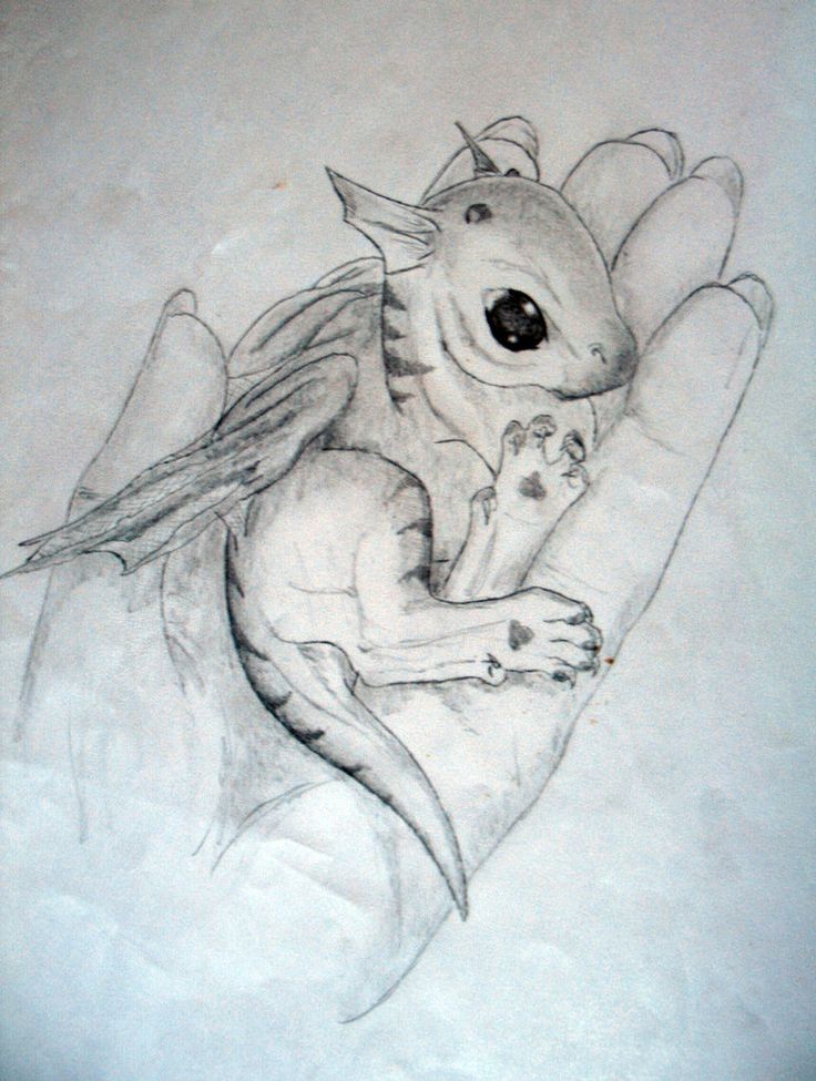 Baby Dragons Drawings Baby Dragon By Darkhorses90 | Dragons 