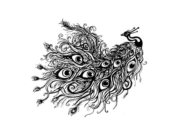 Peacock Drawing Tattoo | Peacock Drawing Black And White Wallpaper 