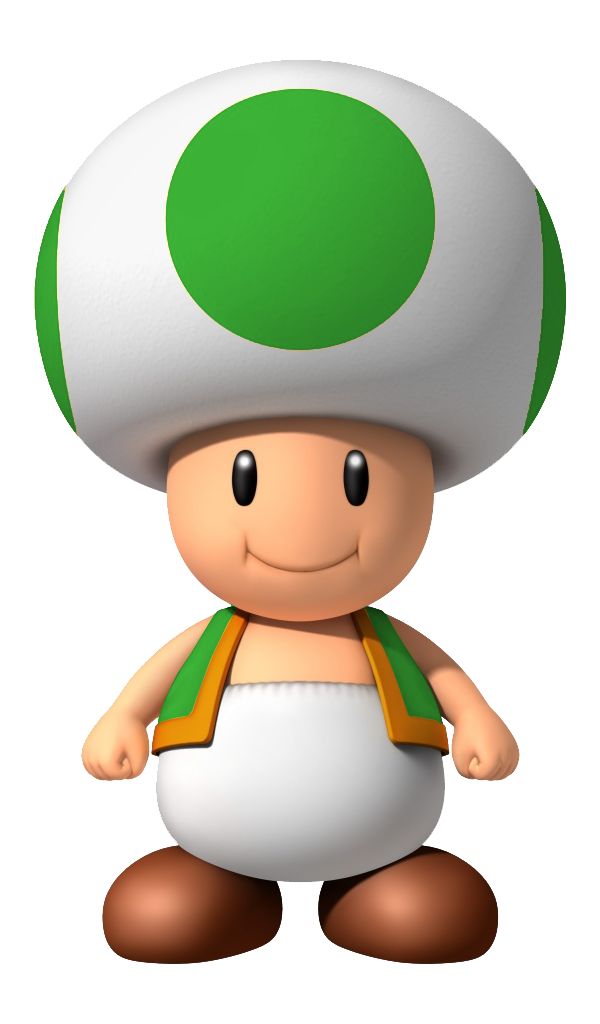 toad 