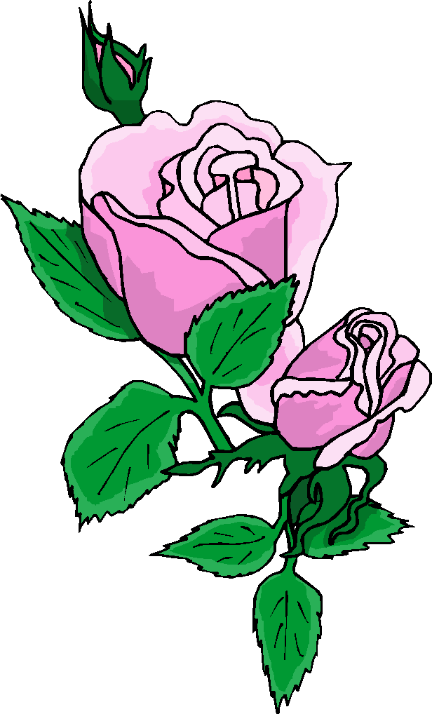 Free Pictures Of Cartoon Roses, Download Free Pictures Of Cartoon Roses png  images, Free ClipArts on Clipart Library